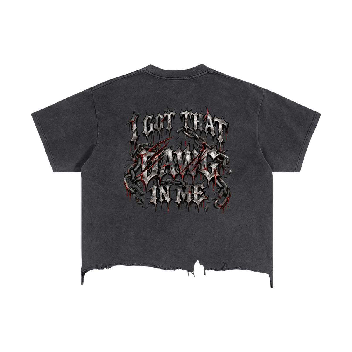 PITBULL Vintage T-Shirt